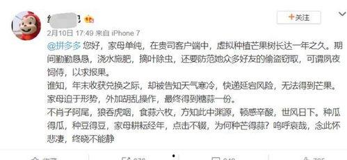 娱乐吃瓜酱文言文